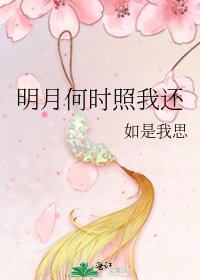 明月何时照我还